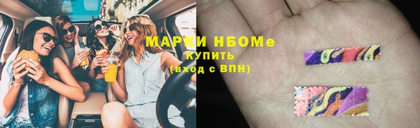 крисы Алексин