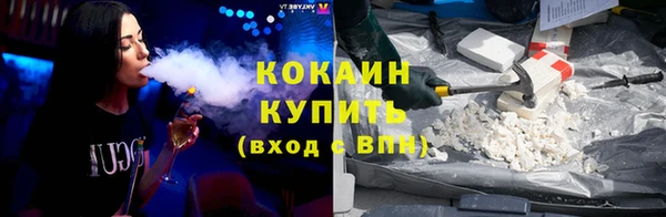 стафф Алзамай