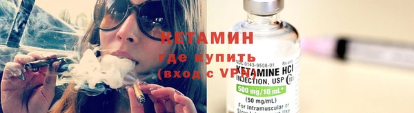 крисы Алексин