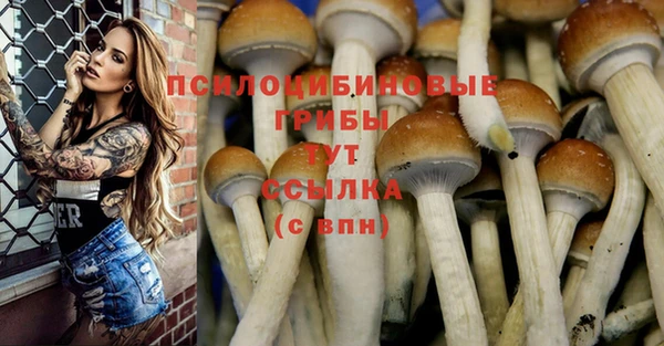 крисы Алексин