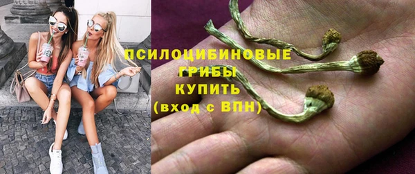 стафф Алзамай